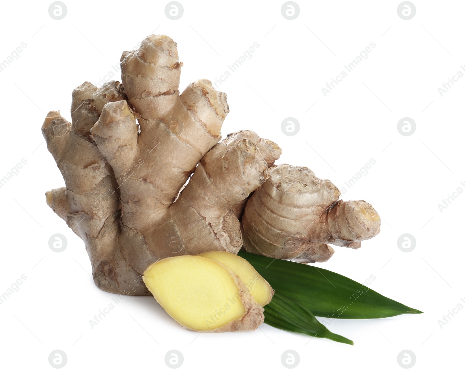 Photo of Whole and cut fresh ginger with leaves isolated on white