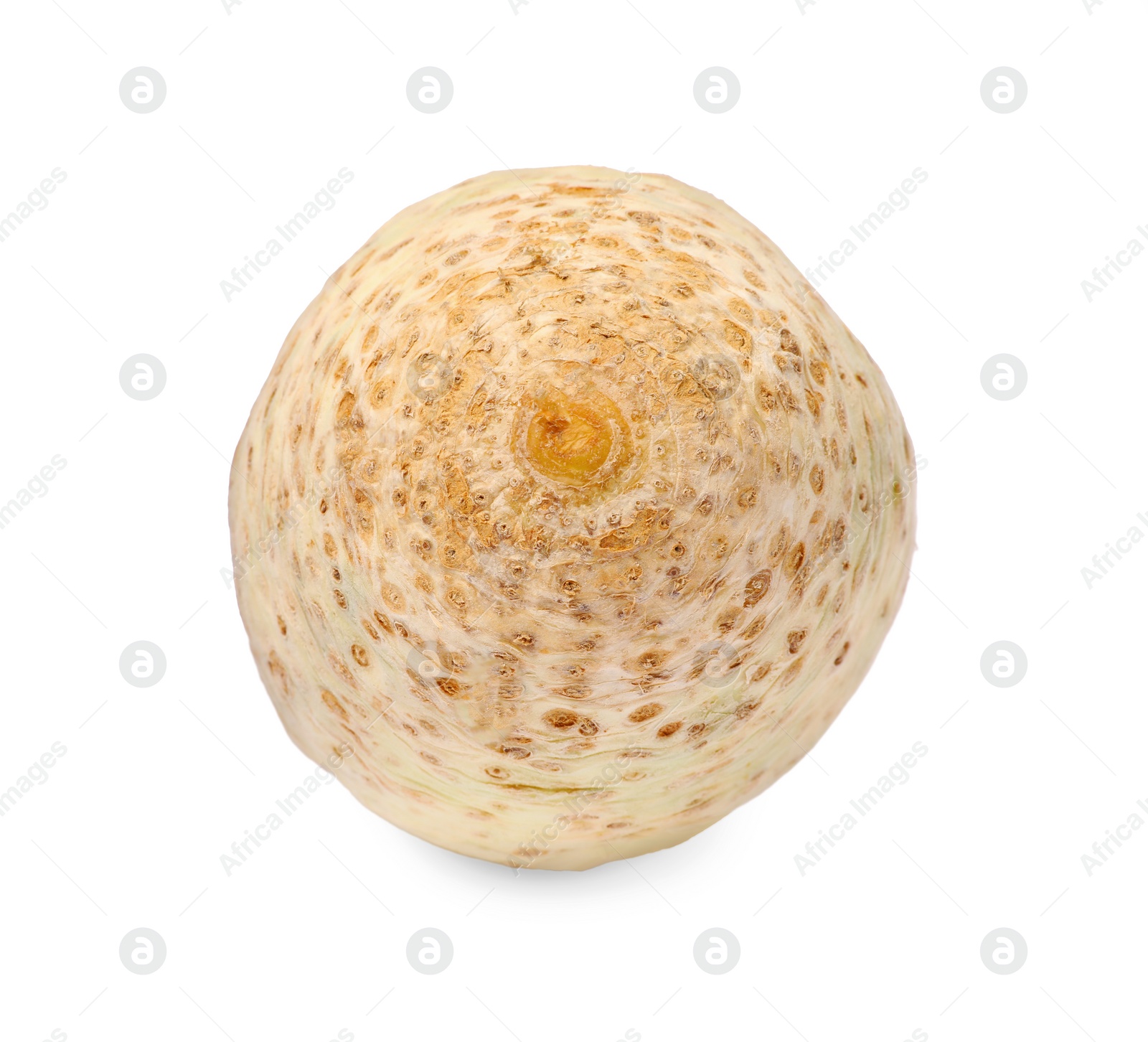 Photo of One raw celery root isolated on white