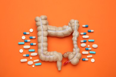 Anatomical model of large intestine and pills on orange background, flat lay
