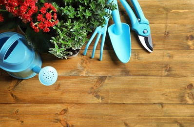 Flat lay composition with gardening tools and plants on wooden background