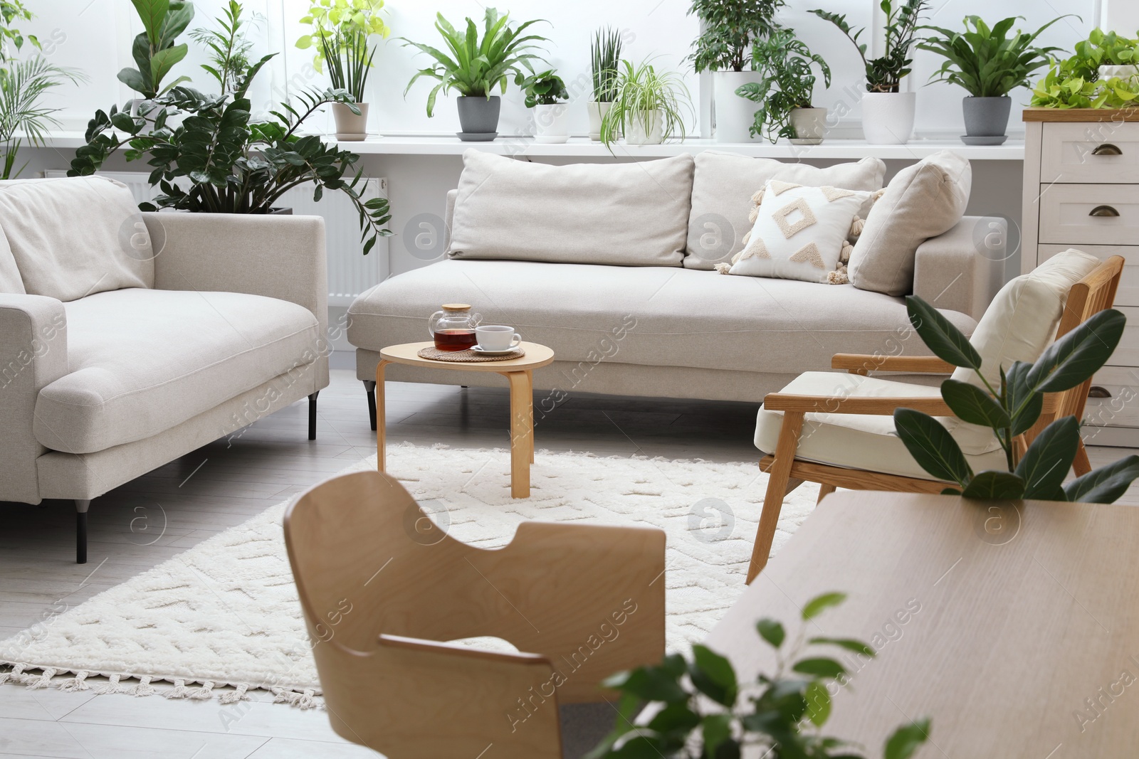 Photo of Stylish room with different potted green plants and comfortable sofa. Interior design