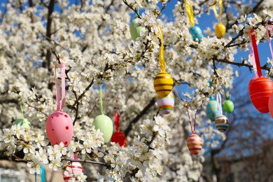 Beautifully painted Easter eggs hanging on blooming cherry tree outdoors