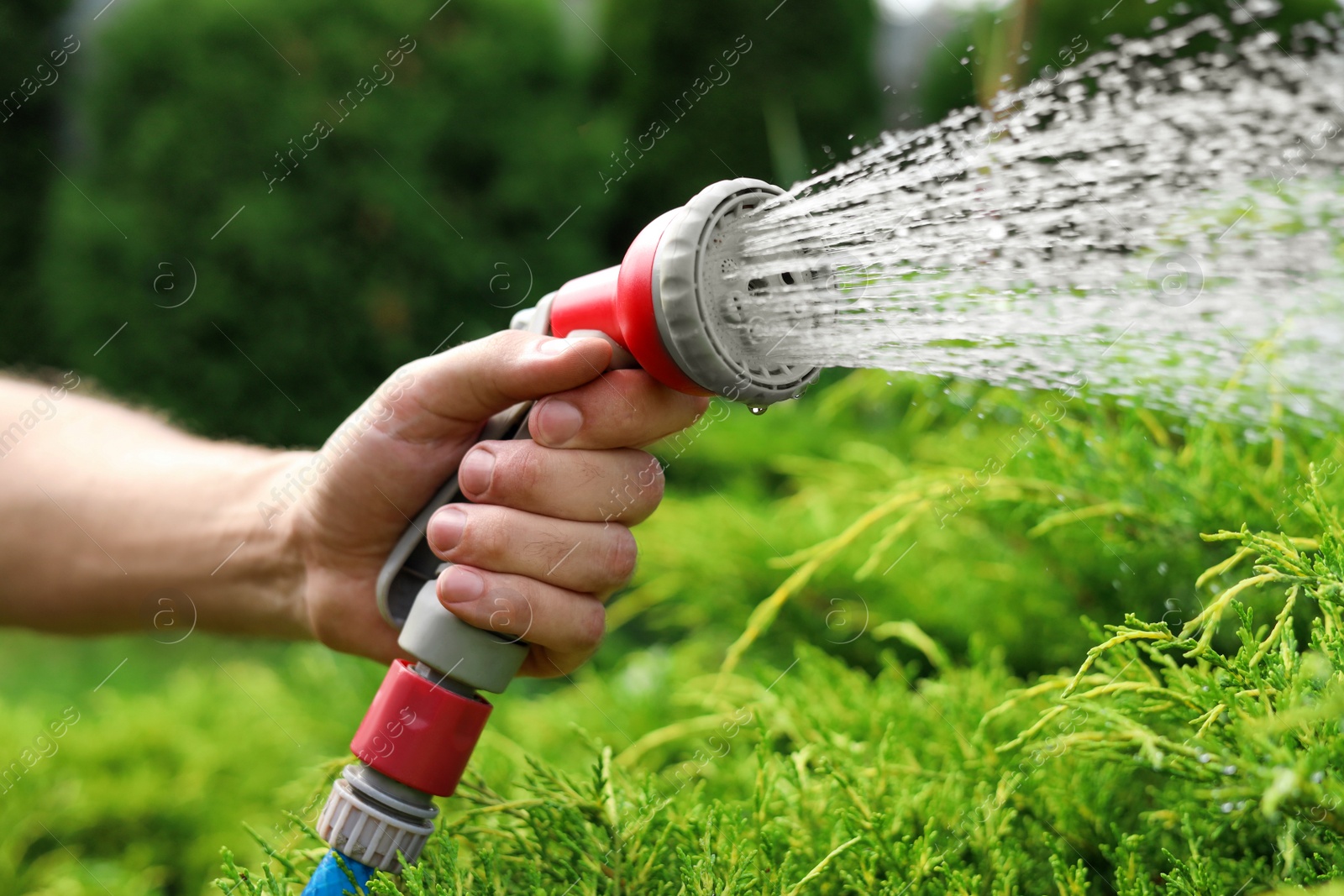 Photo of Man spraying water from hose in garden, closeup