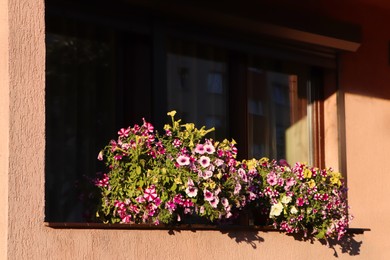 Photo of Balcony decorated with beautiful blooming potted plants on sunny day