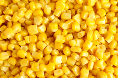 Photo of Delicious canned corn kernels as background, top view