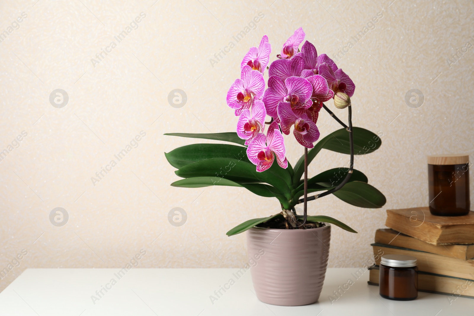 Photo of Beautiful blooming orchid, jars and stack of old books on white table near beige wall. Space for text