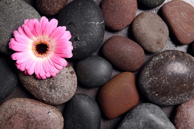 Different spa stones with flower, top view