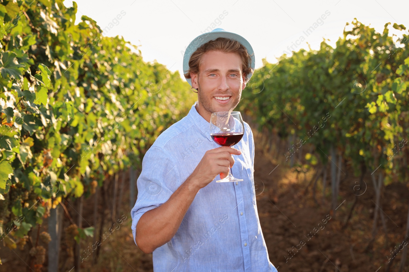 Photo of Young handsome man with glass of wine at vineyard on sunny day