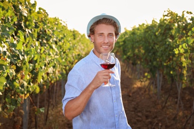 Photo of Young handsome man with glass of wine at vineyard on sunny day