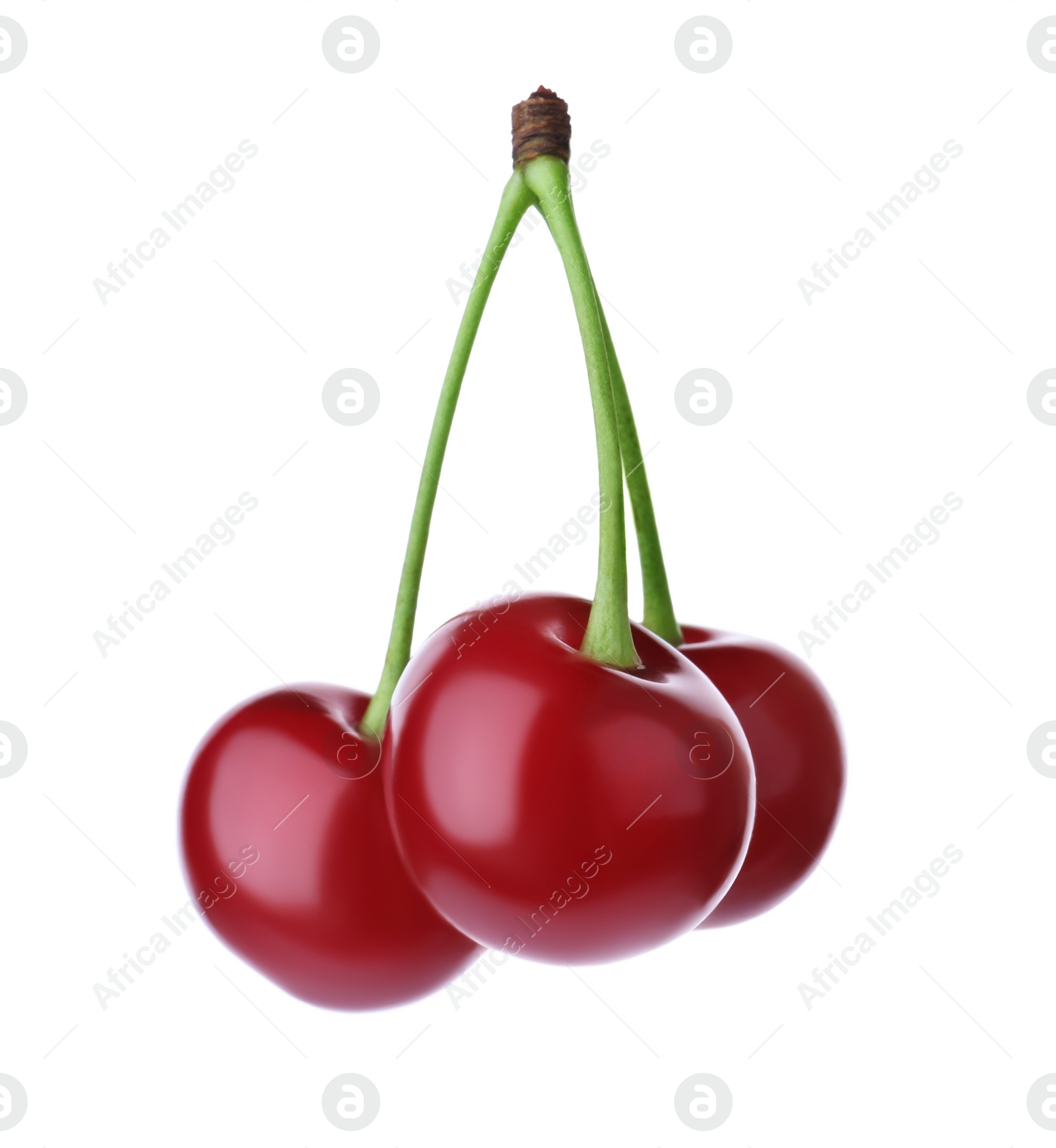 Photo of Delicious ripe sweet cherries isolated on white