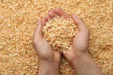 Photo of Woman holding dry natural sawdust, top view