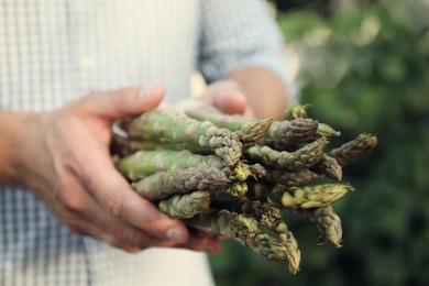 Photo of Man holding fresh raw asparagus outdoors, closeup
