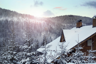 Photo of Fir trees and house covered with snow outdoors on winter day