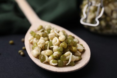 Photo of Wooden spoon with sprouted green mung beans on black background, closeup