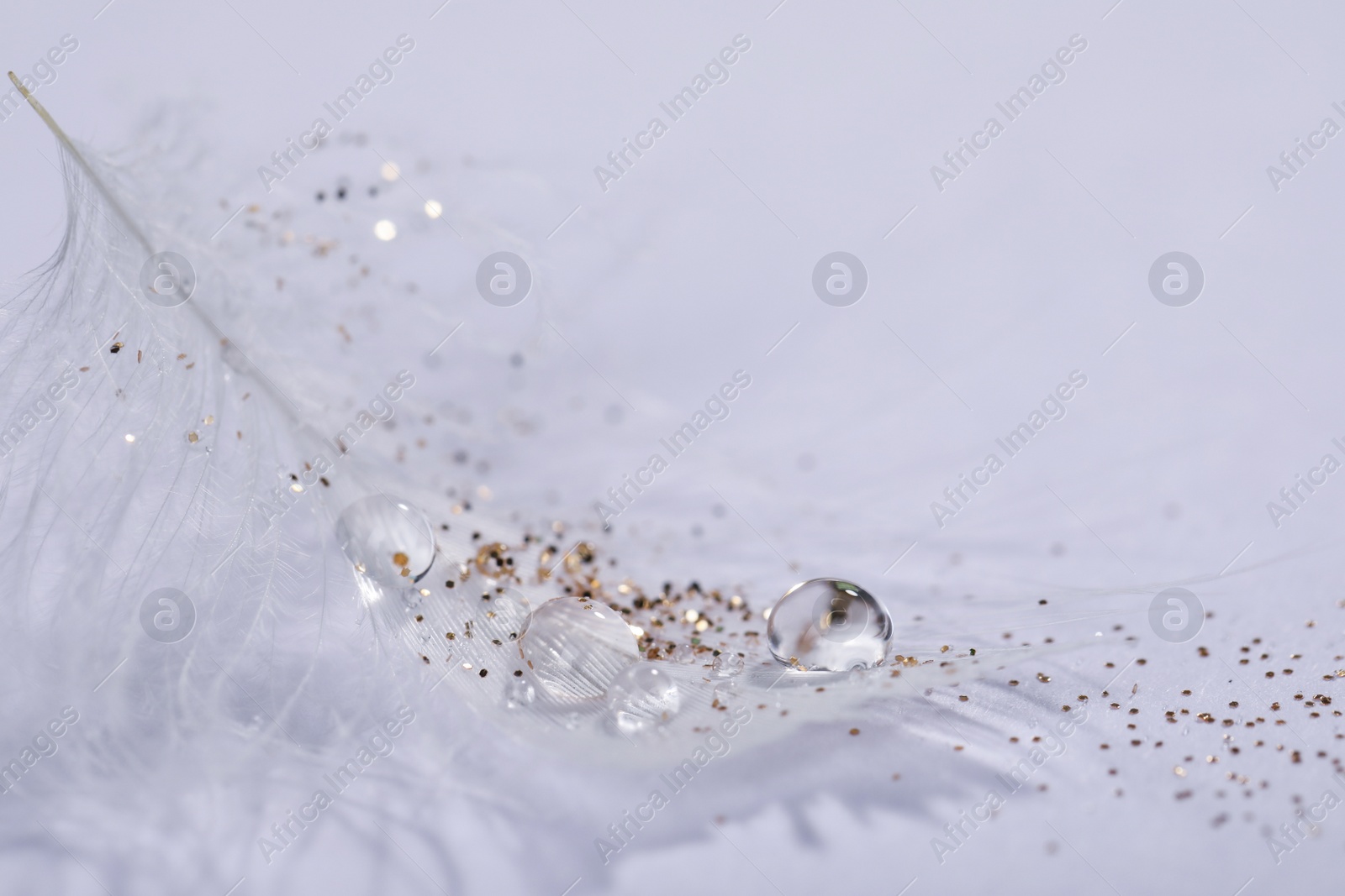 Photo of Closeup view of beautiful feather with dew drops and glitter on white background