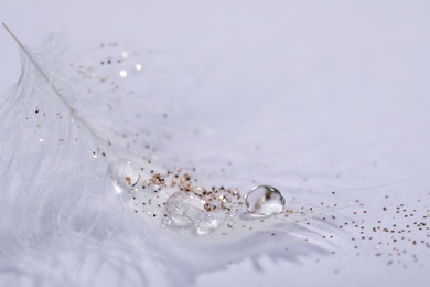 Closeup view of beautiful feather with dew drops and glitter on white background