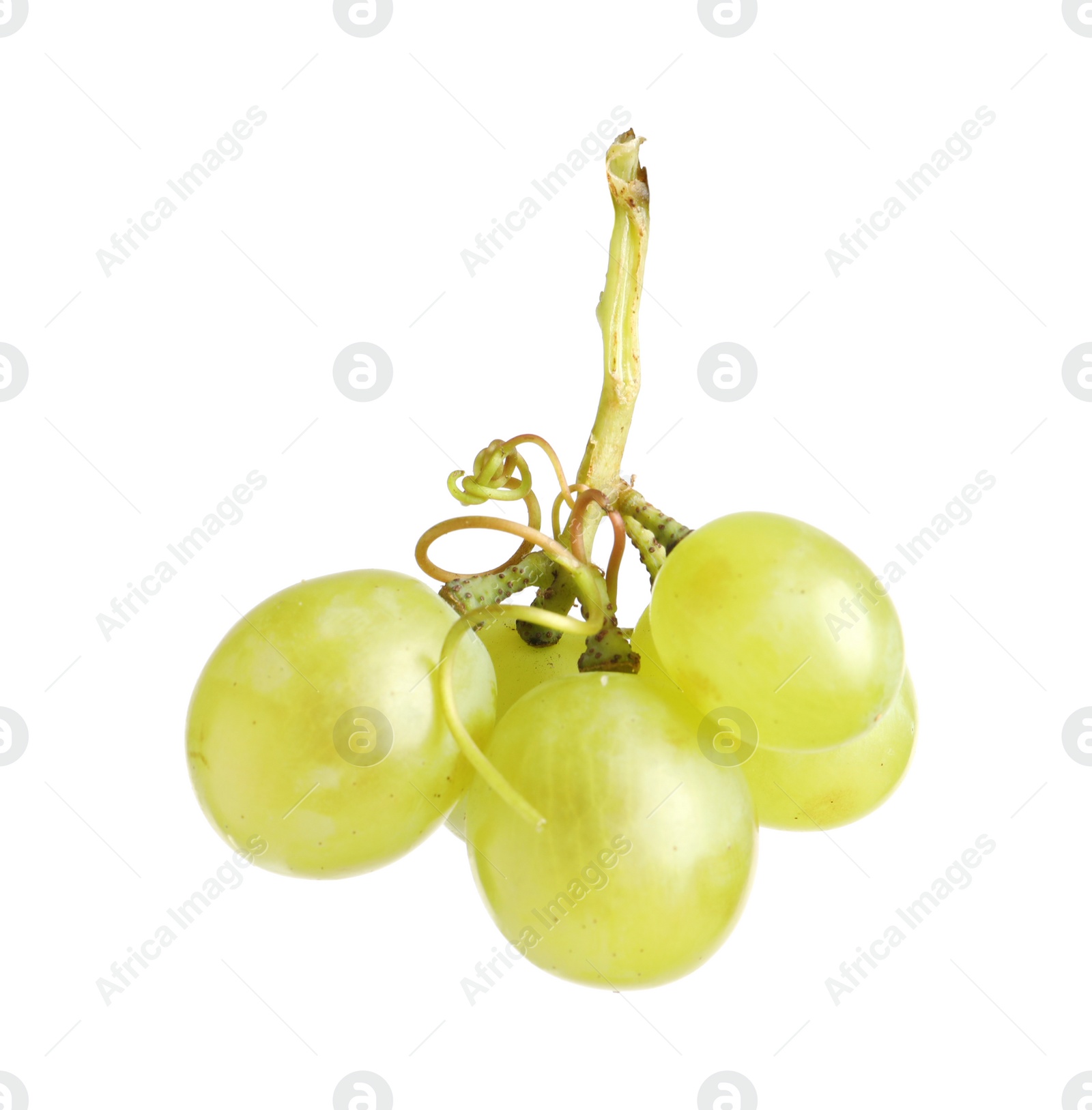 Photo of Fresh ripe juicy grapes isolated on white