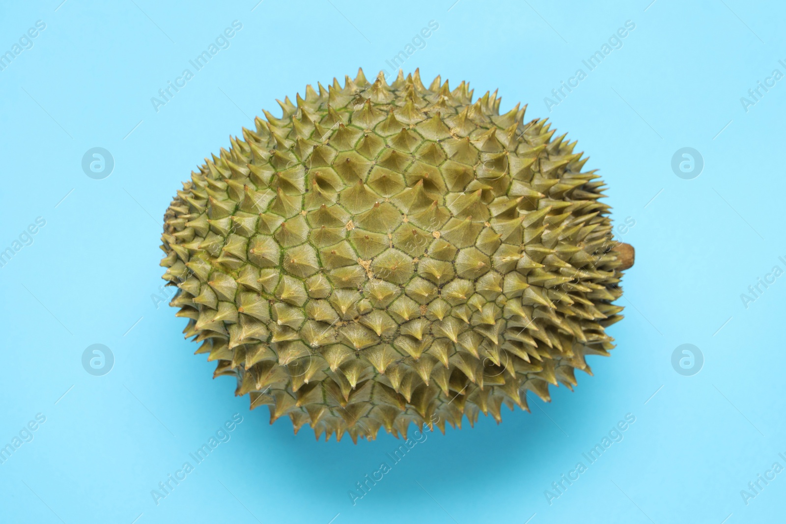 Photo of Fresh ripe durian on light blue background, top view