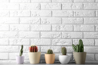 Photo of Different potted cacti on table near brick wall, space for text. Interior decor