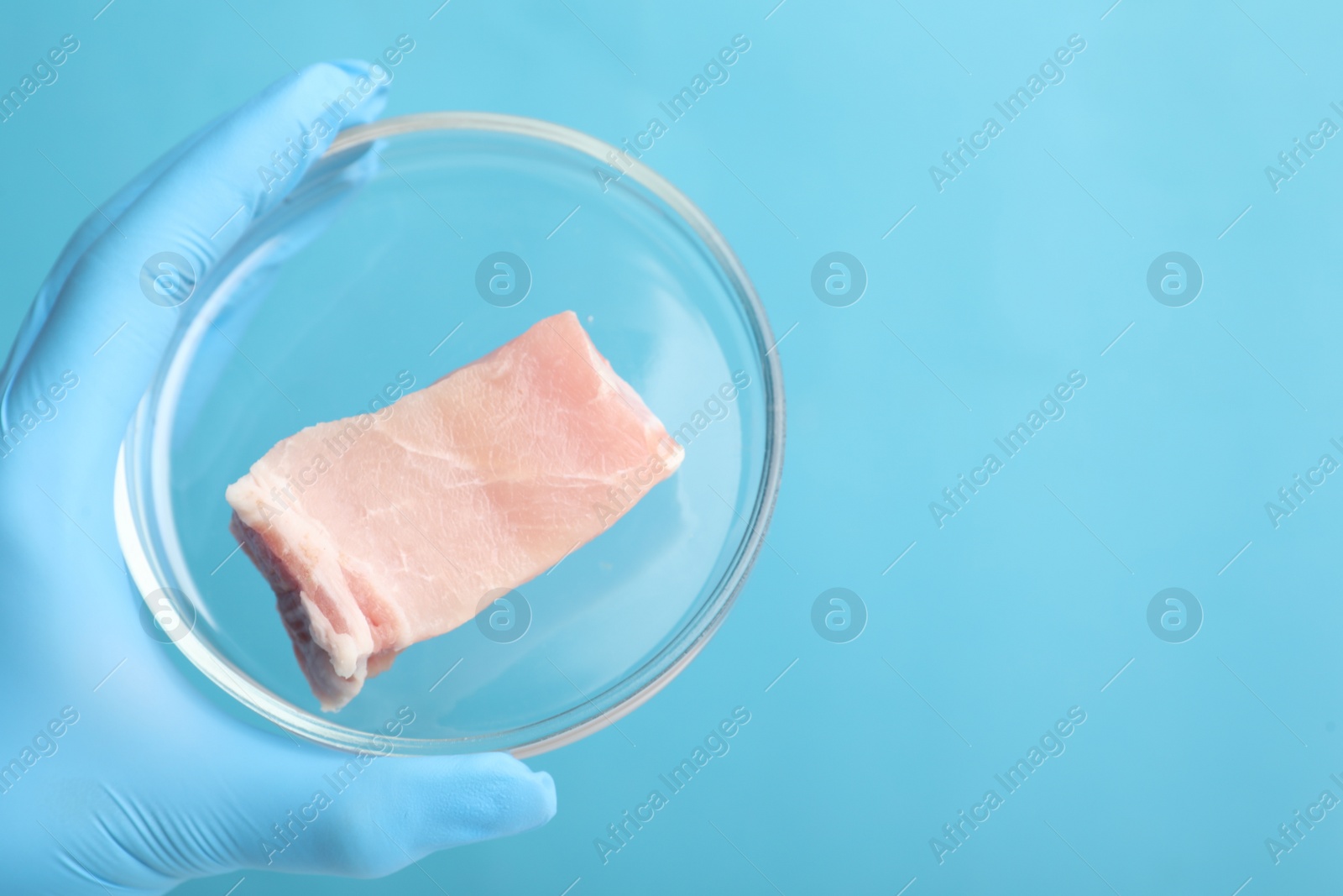 Photo of Scientist holding Petri dish with lab grown meat on light blue background, closeup. Space for text