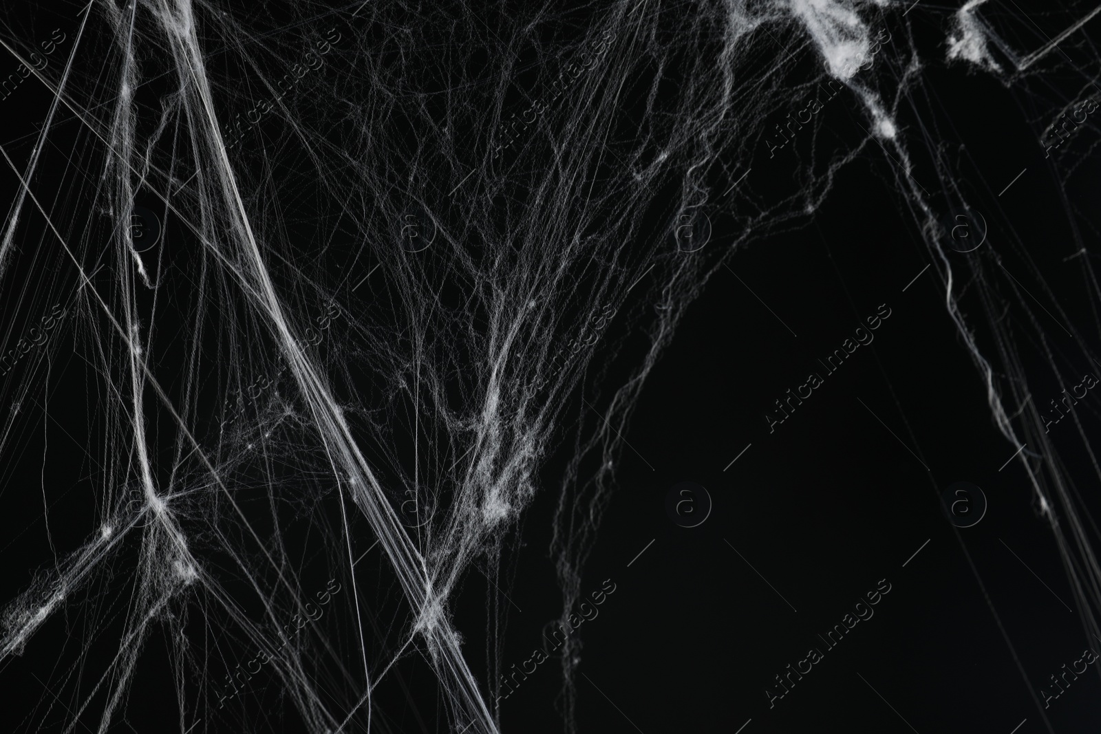 Photo of Creepy white spider web on black background