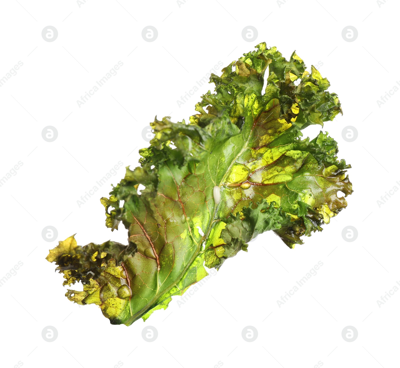 Photo of Tasty baked kale chip isolated on white