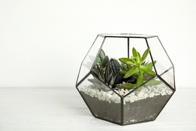 Photo of Glass florarium with different succulents on wooden table against white background, space for text