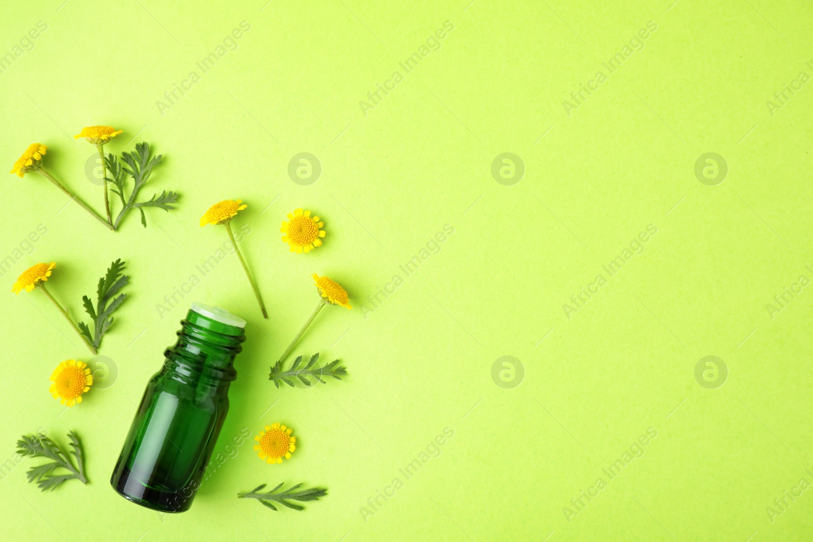 Photo of Bottle of essential oil and wildflowers on color background, flat lay. Space for text