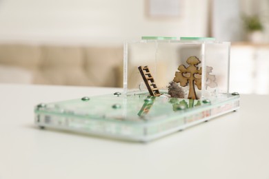 Ant farm (formicarium) on white wooden table