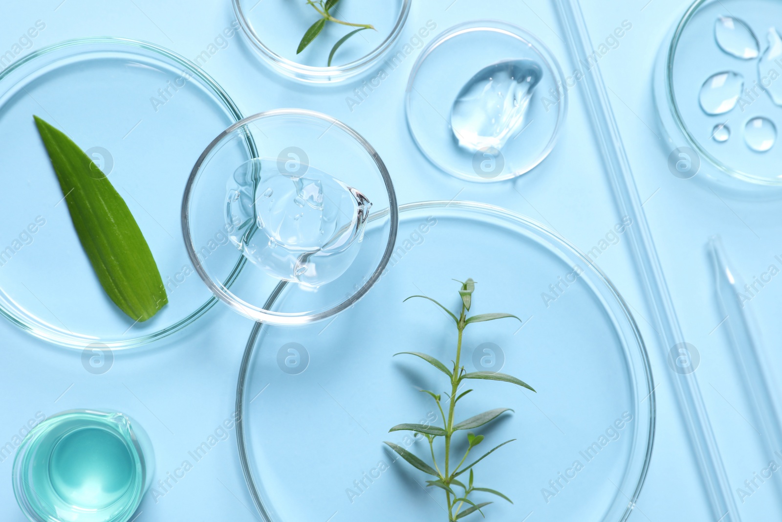 Photo of Laboratory glassware and natural ingredients for organic cosmetic product on light blue background, flat lay