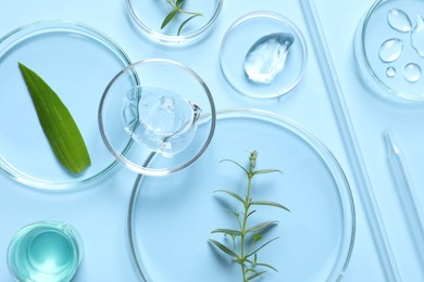 Photo of Laboratory glassware and natural ingredients for organic cosmetic product on light blue background, flat lay