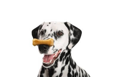 Image of Cute Dalmatian dog with chew bone on nose against white background