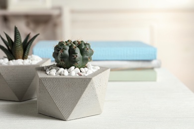 Beautiful succulent plants in stylish flowerpots on table indoors, space for text. Home decor