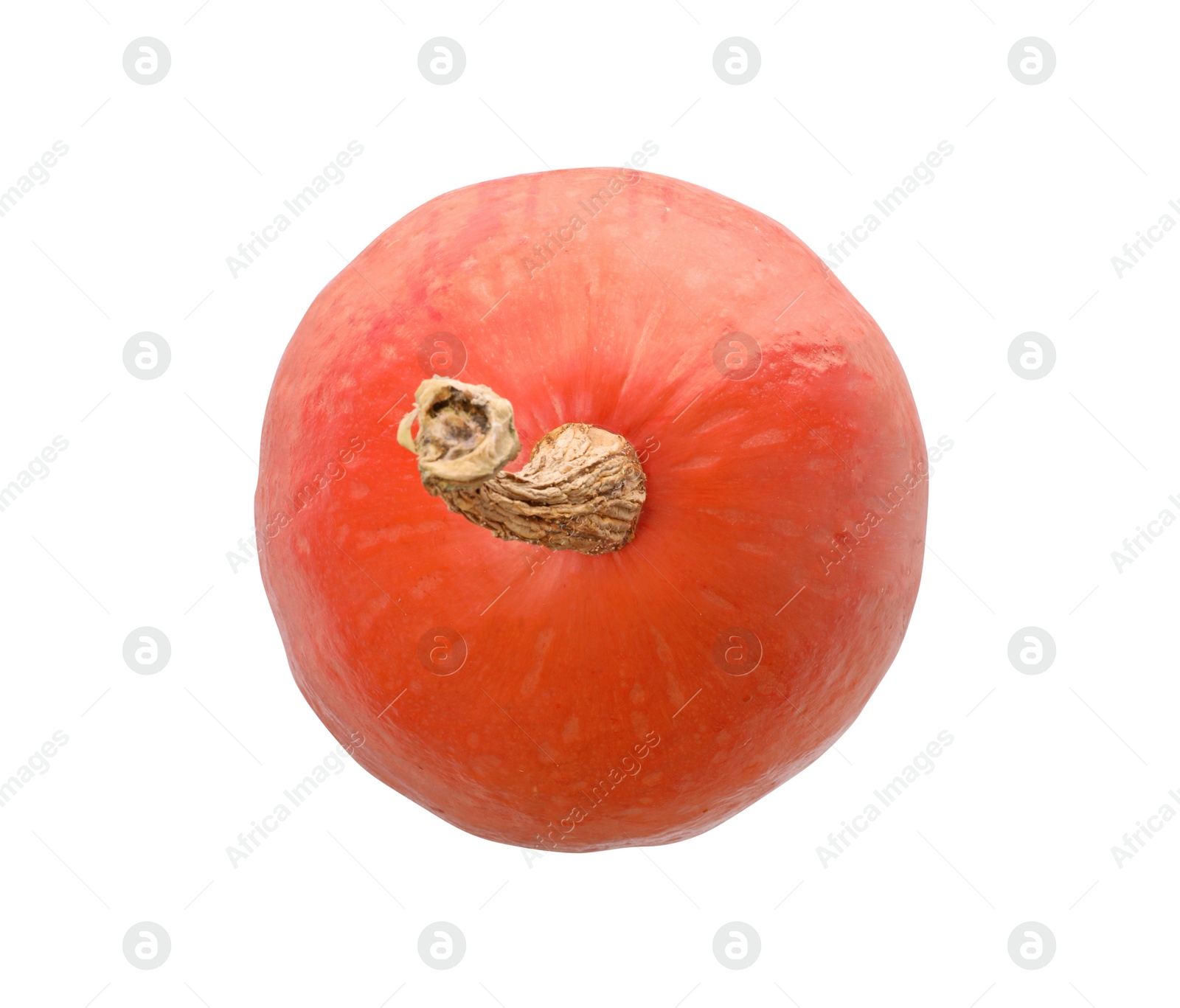 Photo of One fresh orange pumpkin isolated on white, top view