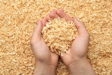 Photo of Woman holding dry natural sawdust, top view