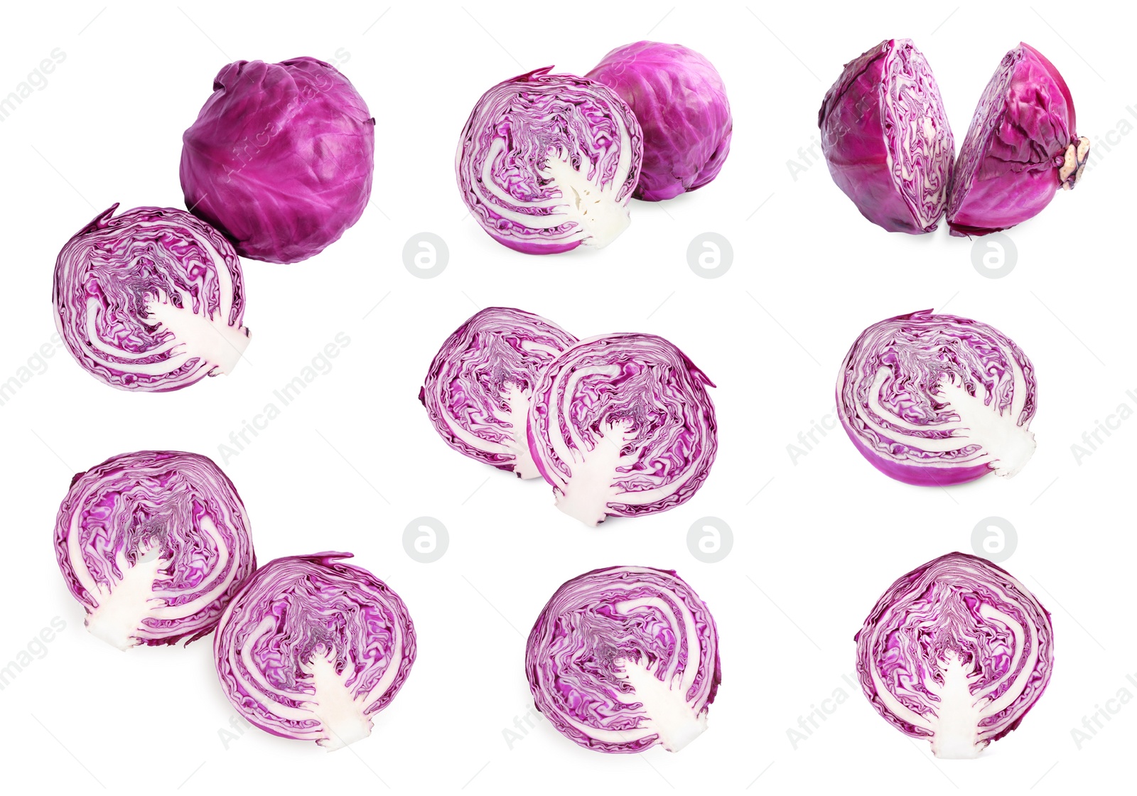 Image of Collage with whole and cut fresh red cabbages on white background