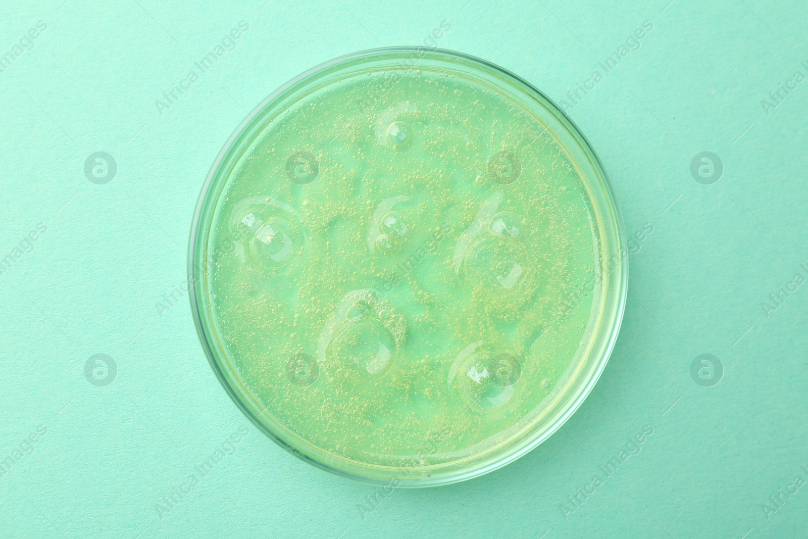 Photo of Petri dish with color liquid sample on light blue background, top view