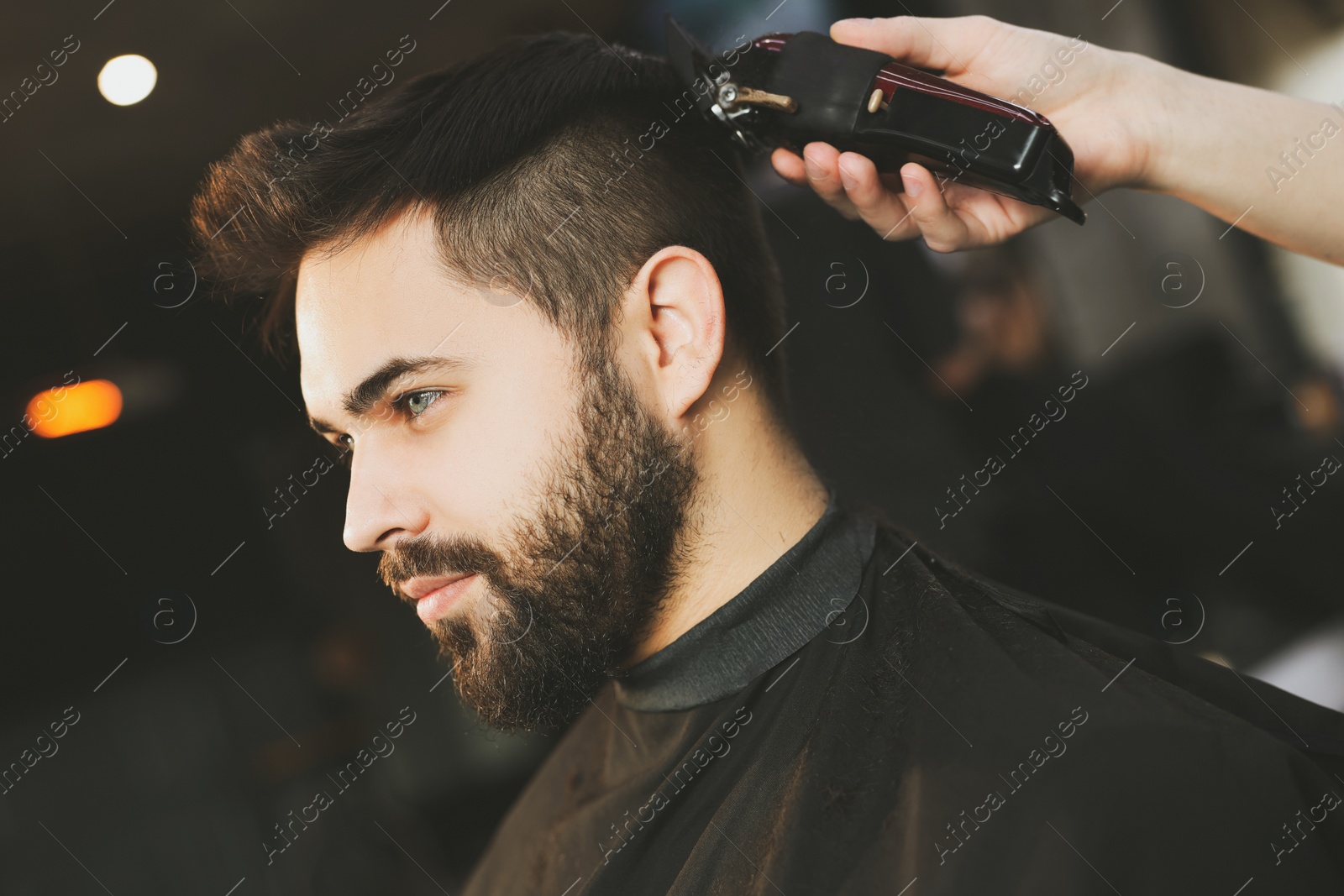 Image of Professional hairdresser working with bearded client in barbershop