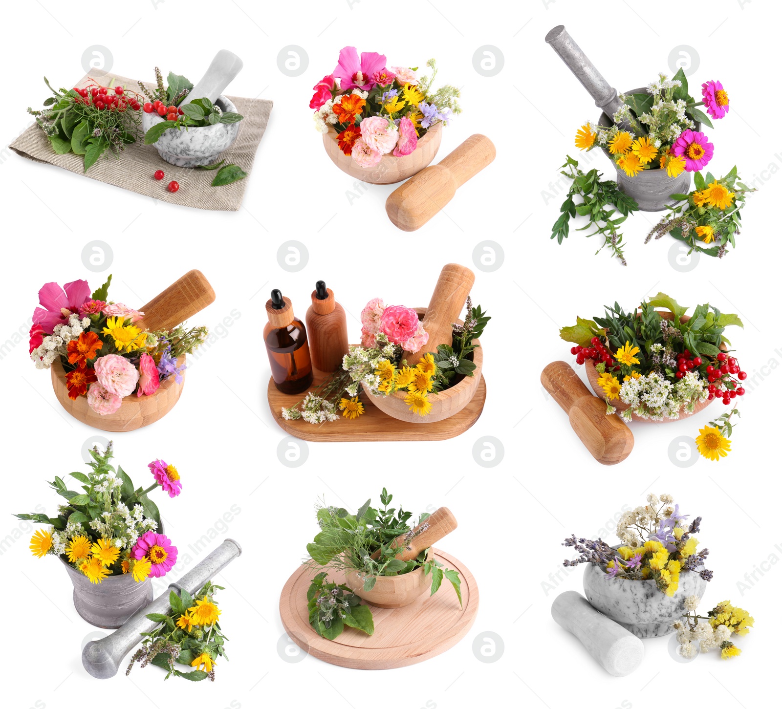 Image of Mortars with flowers and herbs on white background, collage design