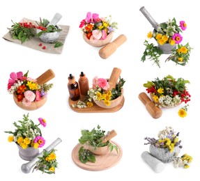 Mortars with flowers and herbs on white background, collage design