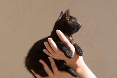 Woman holding black kitten against beige wall, closeup