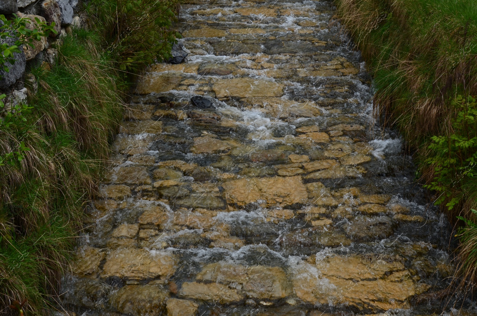 Photo of View of beautiful stream flowing on path covered with natural stones
