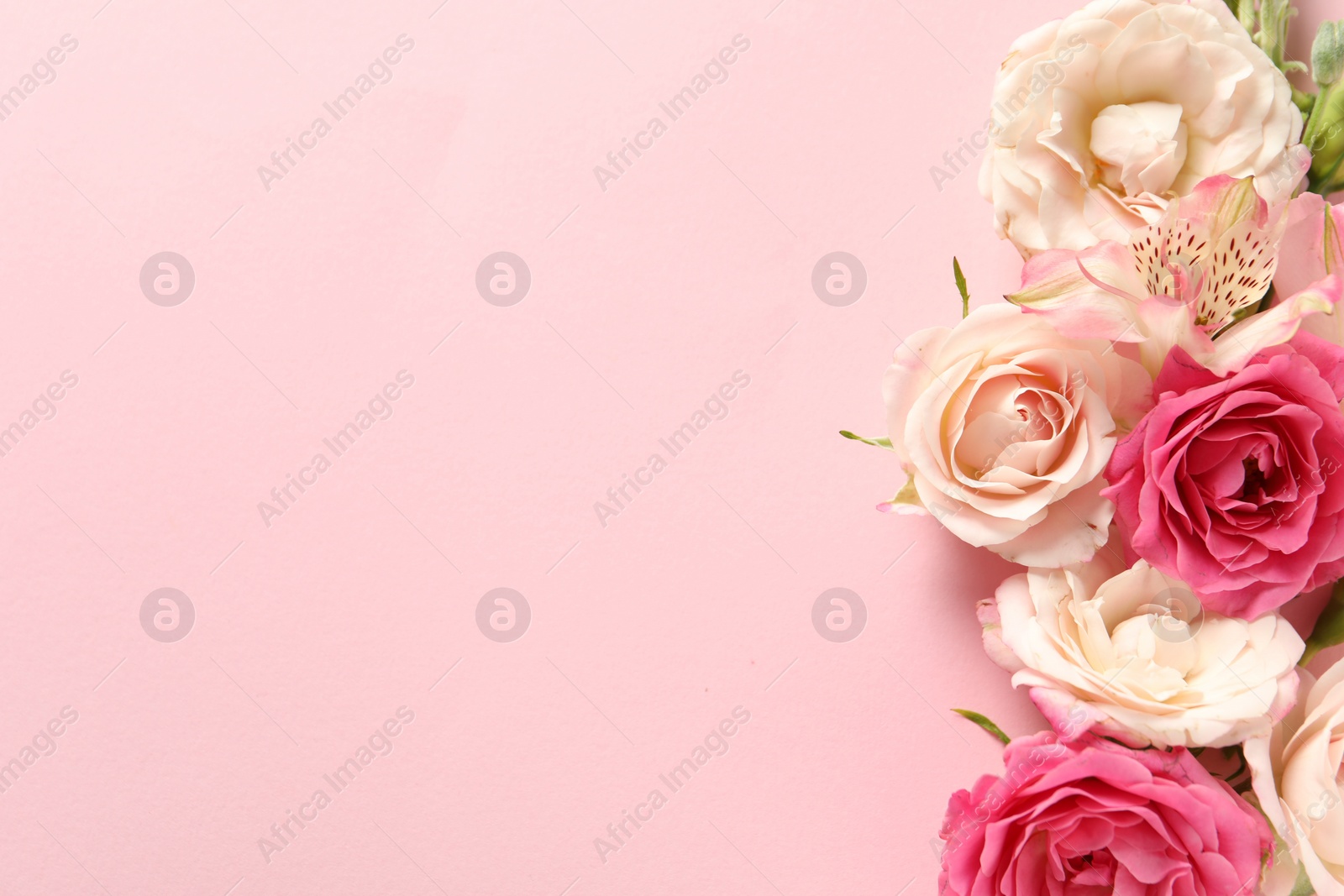 Photo of Happy Mother's Day. Beautiful roses on pink background, flat lay. Space for text