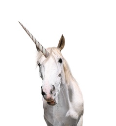 Image of Amazing unicorn with beautiful mane on white background