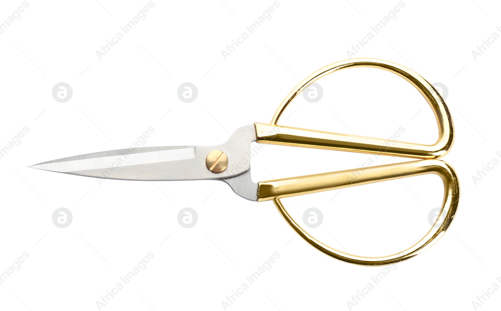 Photo of Pair of sharp sewing scissors on white background