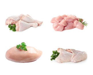 Set with raw chicken meat on white background