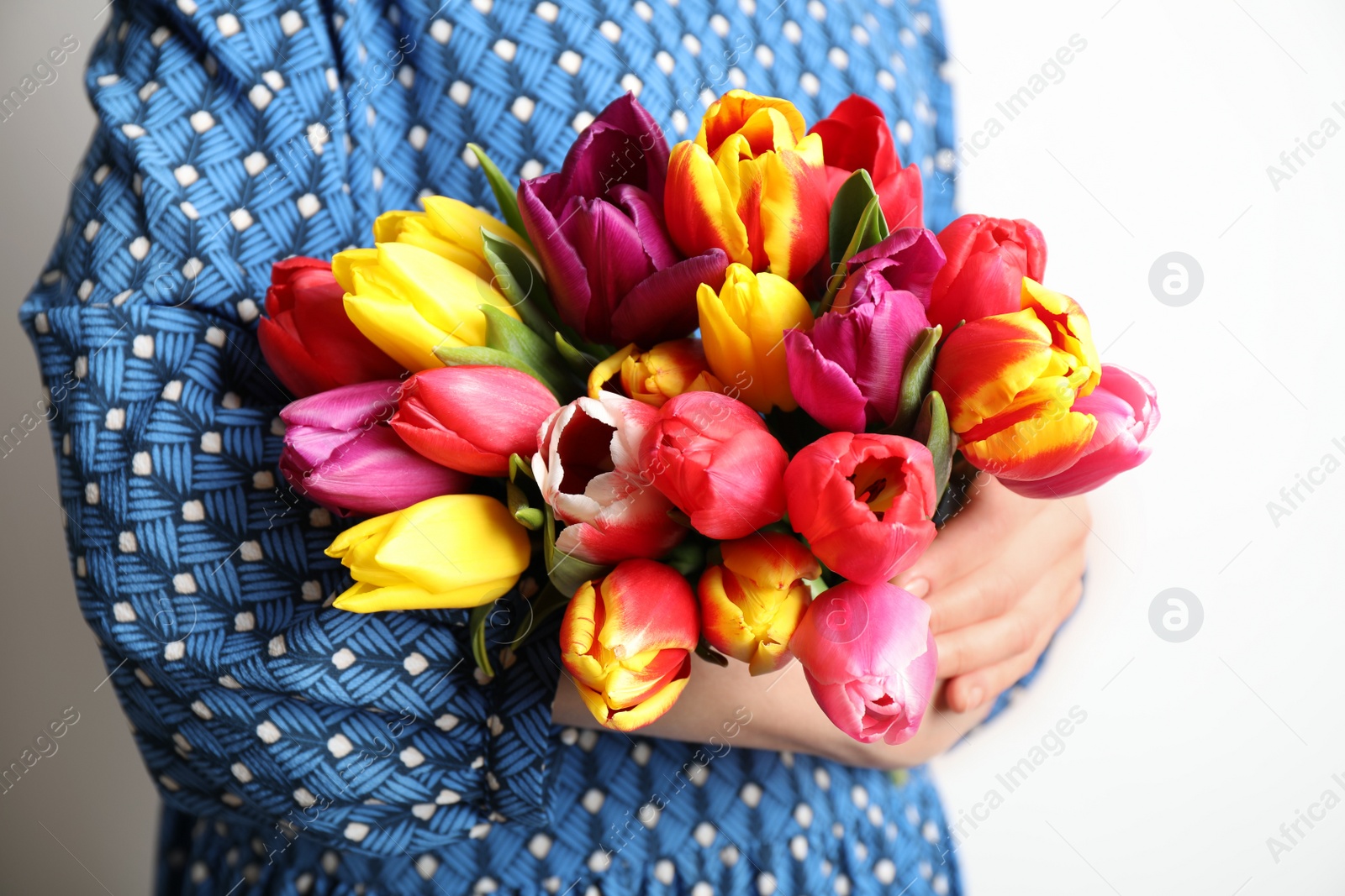 Photo of Woman holding beautiful spring tulips on white background, closeup