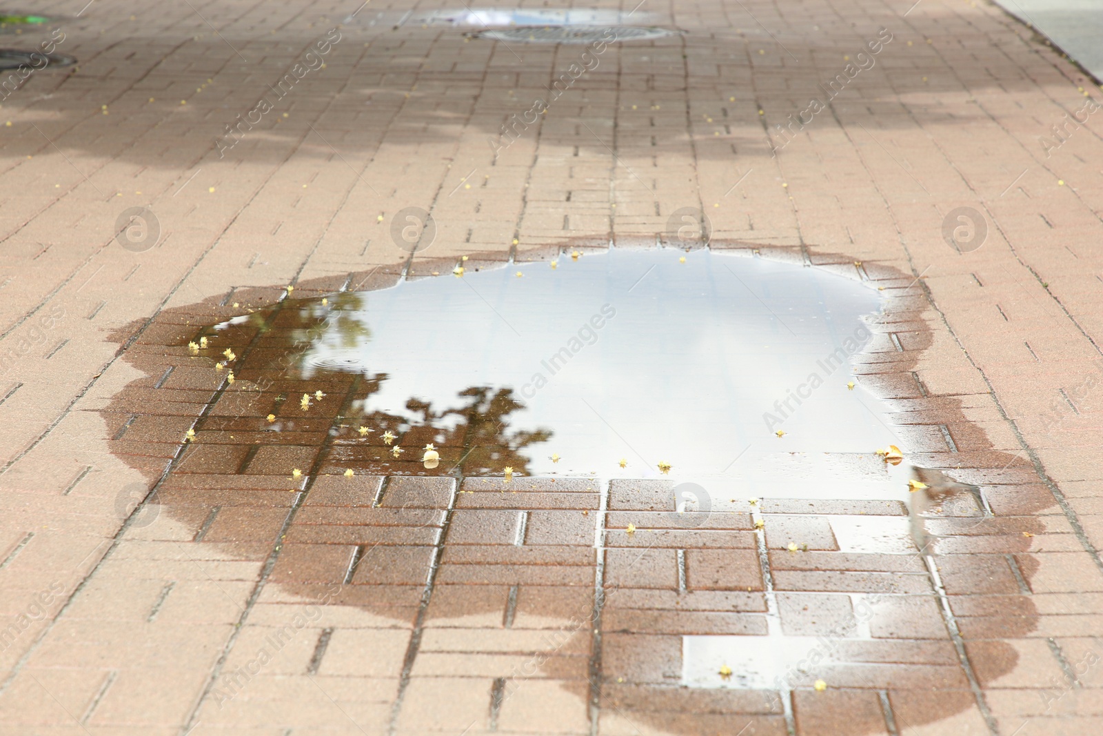 Photo of One puddle on street tiles outdoors after rain