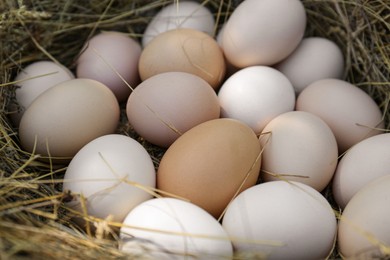 Photo of Fresh raw chicken eggs in nest, closeup