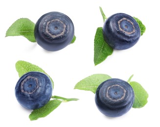 Image of Set with fresh ripe bilberries and green leaves isolated on white